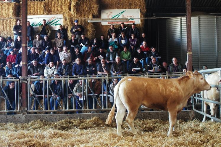 Jeudi 26 mars, 14h30, la 5° vente d'Aussac débute