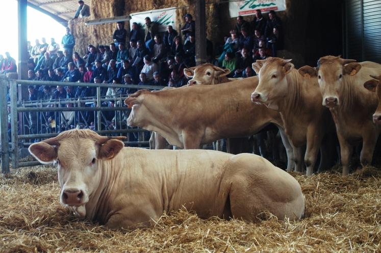 La pression est palpable, mais certaines vivent ça plutôt tranquillement