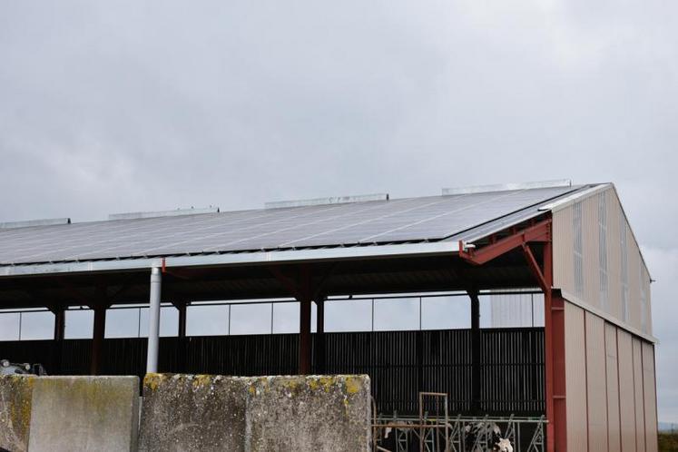 Lors des travaux de fermeture du bâtiment d'élevage, Cyril Bousquet a choisi de laisser ouvert le haut du mur nord. Il a constaté une très bonne ventilation sans courant d'air sur l'aire paillée.