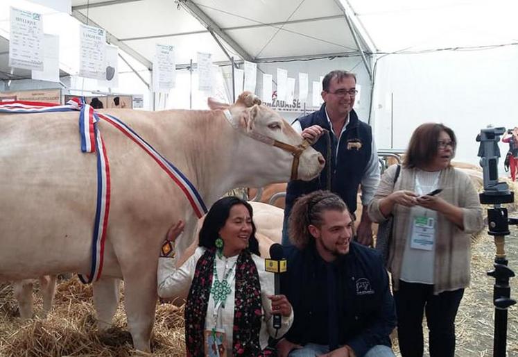 Les caméras du Pérou se sont intéressées aux Blondes d’Aquitaine du Gaec Plante-Moulet.