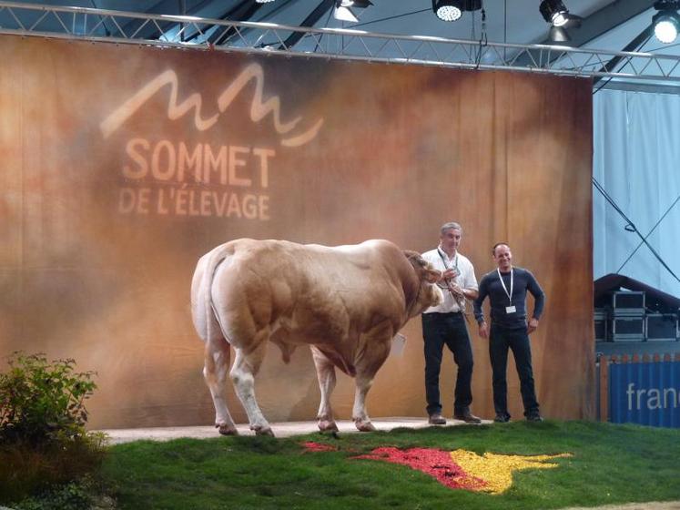 Les concours bovins du Sommet de l'élevage sont annulés