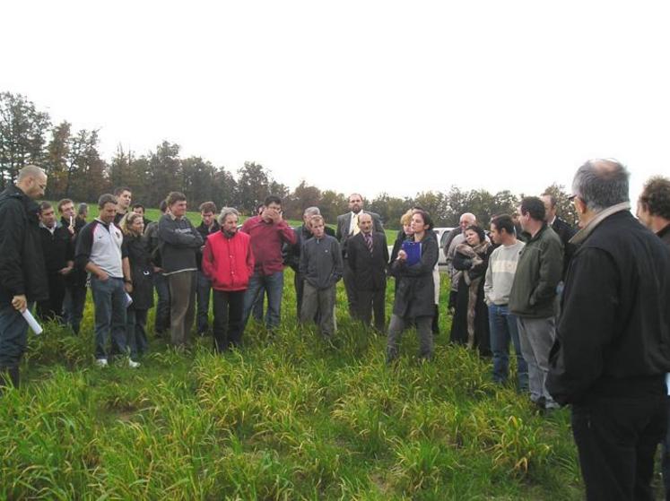 L’après-midi de cette journée de lancement, le 17 novembre, avait pour thème les couverts végétaux. Yves Ferrié, technicien spécialisé « grandes cultures » à la chambre d’agriculture du Tarn a présenté les CIPAN, lors d’une visite sur des parcelles d’essais.