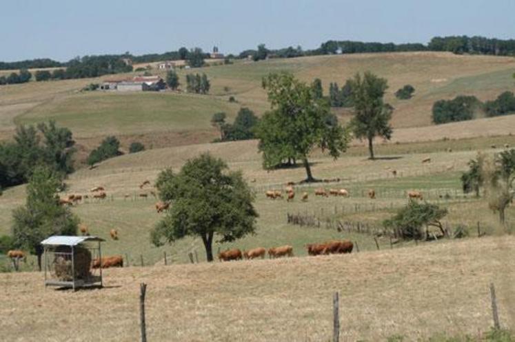 Le mois d'août 2009 restera le 2ème plus chaud depuis 1977, après celui de 2003.