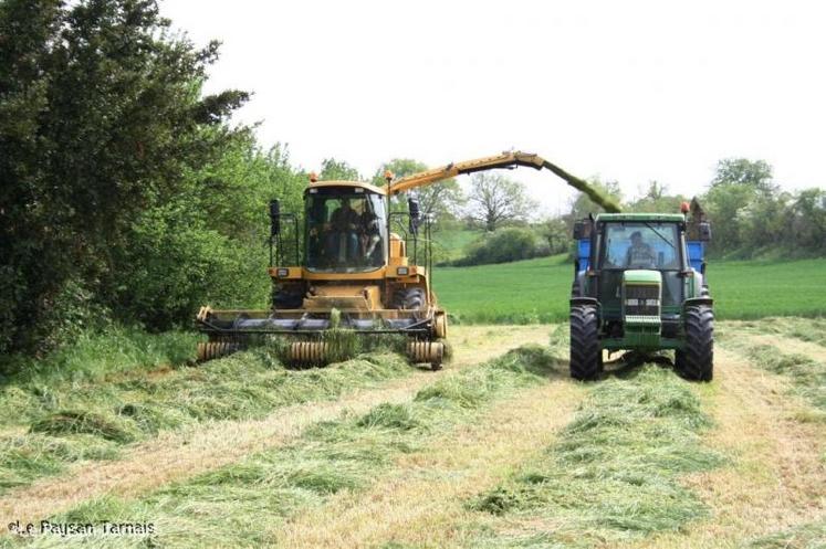 Le réseau Cuma a un rôle à jouer en faveur de l’installation pour le maintien de structures d’exploitations nombreuses et de territoires ruraux vivant