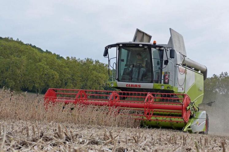 La nouvelle moissonneuse-batteuse de l'ETA Marc, à Lautrec, dans un champ de soja. Une série de photos à retrouver sur le site http://agris-tarnais.e-monsite.com/