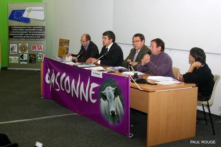 colloque race gasconne - tribune officielle