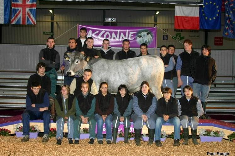 Concours national - une section de taureaux