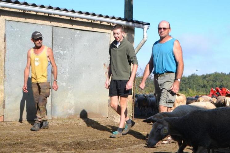 Serge, Thierry et Dimitri Villeneuve, les trois associés du Gaec d’Abillac, à Villefranche-d’Albigeois.