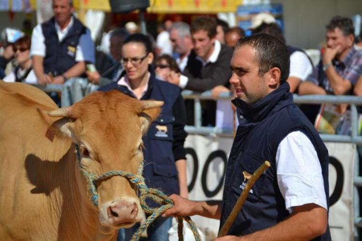 Concours régional Blonde d'Aquitaine - les deux juges des Pyrénées Atlantiques