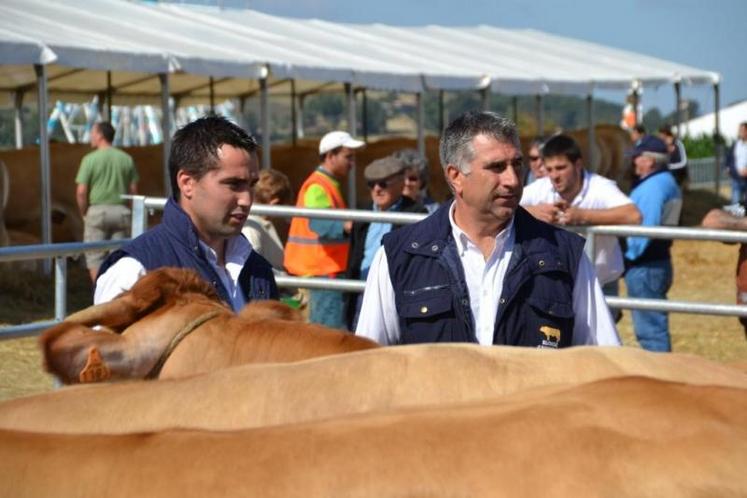 Concours régional Blonde d'Aquitaine - les journalistes du Paysan Tarnais mobilisés