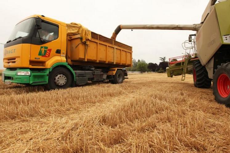 Avec l'alimentation animale, la production agricole tarnaise est valorisée au plus près !