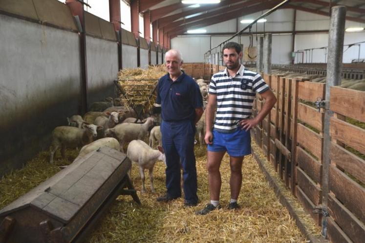 Romain et Christian Tarroux : "Nous nous efforçons d’avoir des agneaux à vendre toute l’année !"