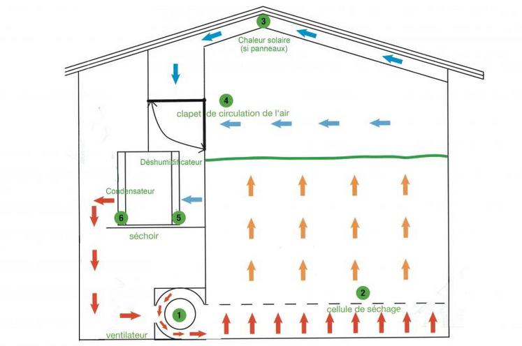 «Les installations de séchage avec déshumidificateurs les plus performantes sont en fait en «circuit fermé» lorsque l’air capté dans le récupérateur sous le toit est à la même temp&e