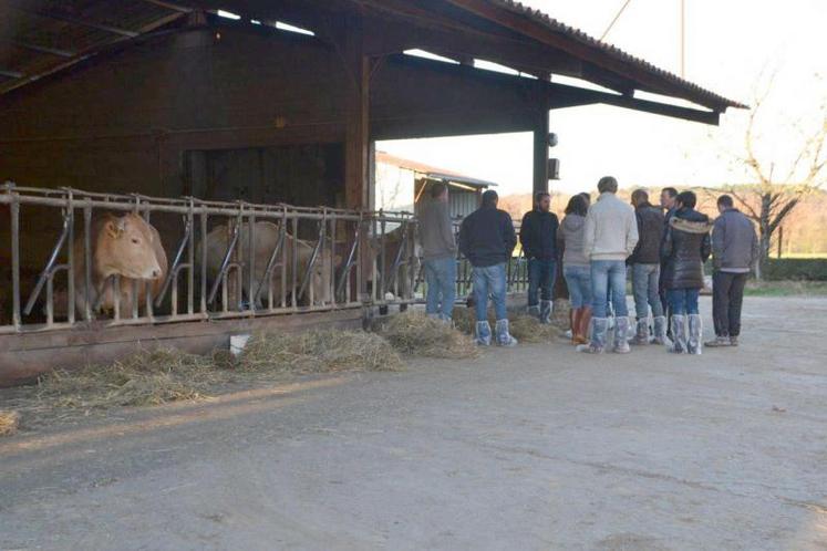 Visite de l'élevage du Gaec de la Grésigné, famille Bèges, à Vénès.