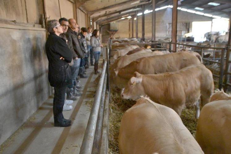 Intervention d'Adeline Poupard, conseillère élevage Bovins Croissance.