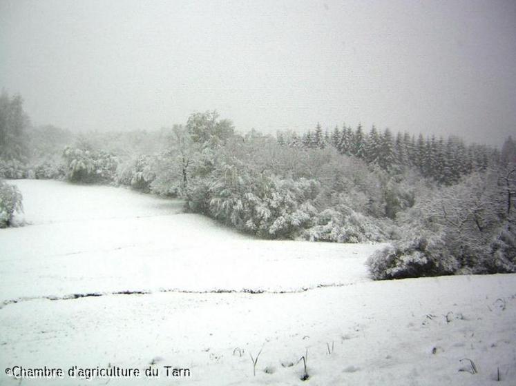 Le 4 mai 2010 à Lacaune. La neige revient en montagne. Une neige lourde qui occasionnera quelques dégâts sur cultures.