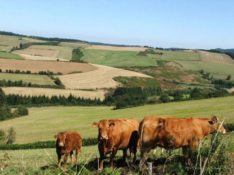 Sur le territoire, 19 producteurs de viande bovine ont été audités et commercialisent désormais en vente directe leurs produits estampillés de la marque Parc.