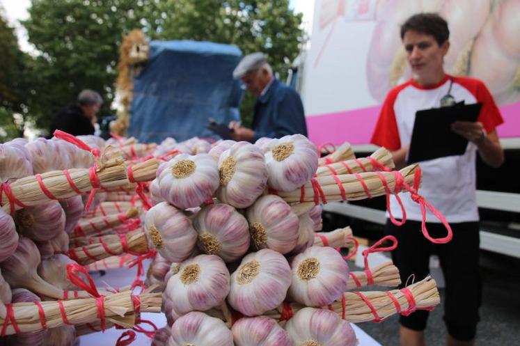 Concours de tartes à l'ail