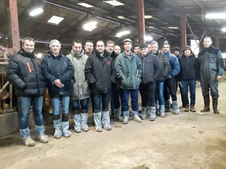 Visite sur l'élevage du Gaec l'Echo limousin à Valence-d'Albi, sélectionneur de race limousine.