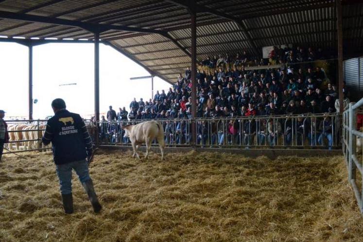 Vente au centre d'élevage d'Aussac le 22 mars 2012