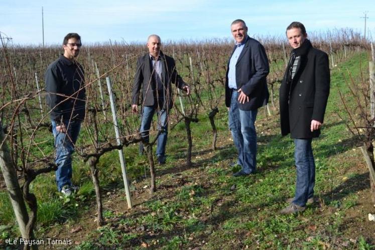 Vinovalie, entrepreneurs, viticulteurs et JA solidaires autour d'un même enjeu : l'accès au foncier !