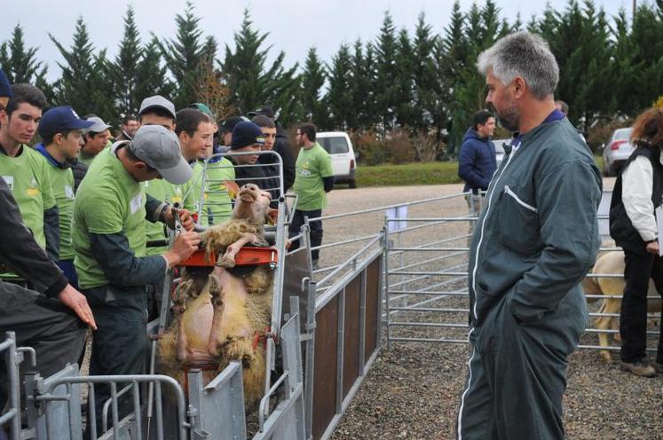 Epreuve de parage à l’aide d’une cage de retournement.