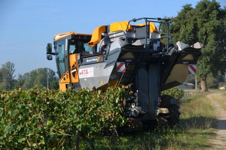 Viti Tarn Services a renouvelé l'une de ses deux machines à vendanger en investissant dans la Pellenc Optimum 890 équipée du «Selectiv process 2».