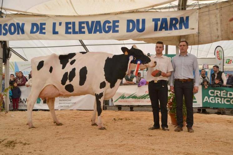 1ère Ebony du Gaec des Lattes, 1ère de la section des 4ème / 5ème lactation, mamelle adulte réserve, championne adulte réserve et meilleure laitière du concours.