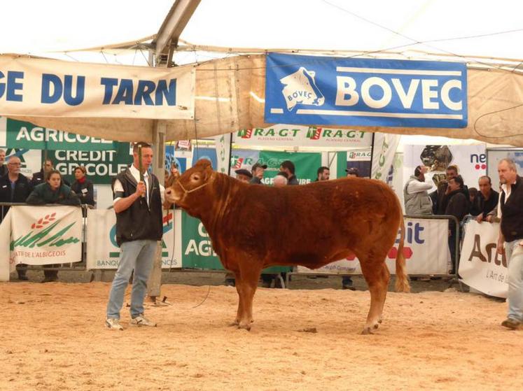 Bichette du Gaec des Cavazies, à plus de 10 ans, termine 1ère de la section des vaches non suitées de plus de 4 ans.