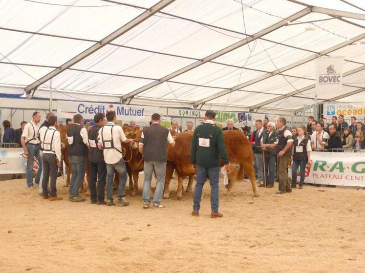 Fabuleuse du Gaec Puech, 1ère de la section des vaches non suitées +5 ans et championne suprême.