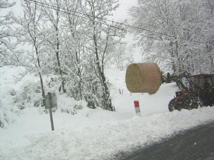 Les chutes de neige sur les Monts de Lacaune ont démarré dans la nuit de ce lundi 3 au mardi 4 mai.