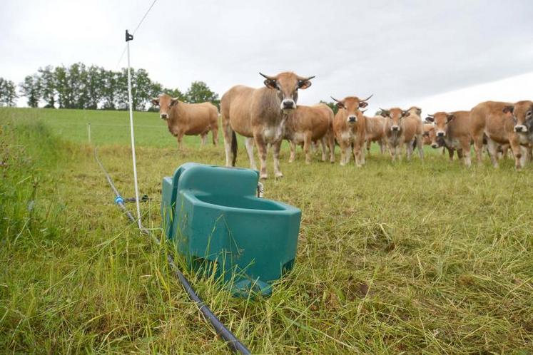 Les doubles abreuvoirs en plastique de 80 litres.