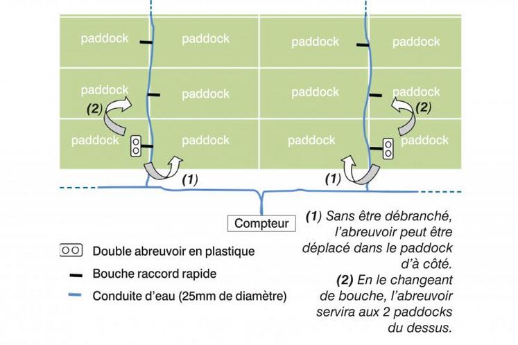 Schéma du système d'abreuvement des animaux.