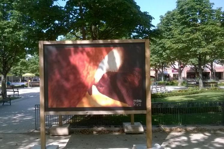 C'est avec beaucoup de fierté que les organisateurs ont présenté l'exposition qui avait déjà élu domicile dans l'Aveyron et plus récemment à Cordes.