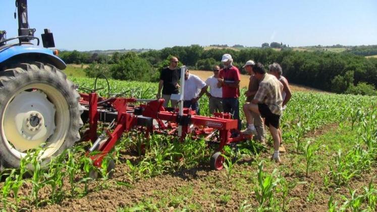 Mercredi 7 juillet, Jean-Yves et Norbert Esclapez ont essayé une bineuse Steketee.