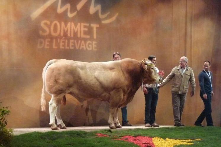 Eté, copropriété de Blanc Damien et de l'Earl Sazy Eric termine 1er des taureaux de + de 4 ans