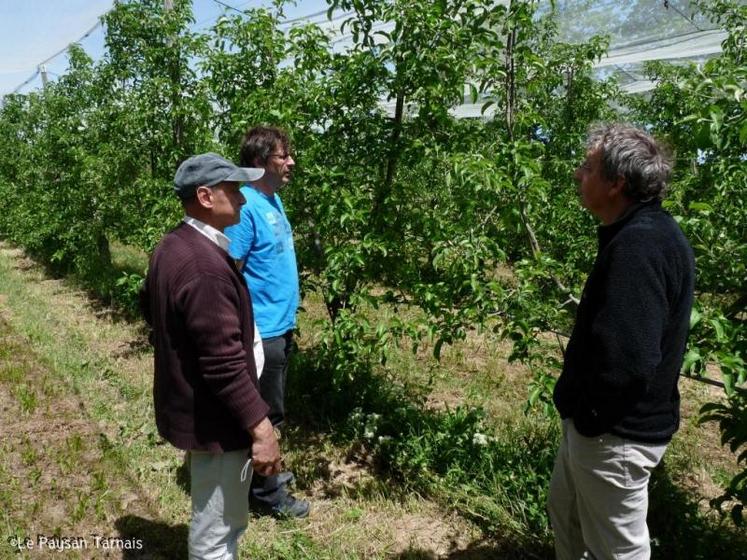 Les participants ont malheureusement constaté que le froid et l’excès de pluie sur les fleurs de pommiers ont fait avorter une forte proportion des pommiers.