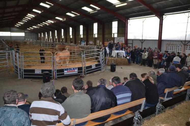 Plus de 200 personnes ont assisté à la vente Blonde Pays d'Oc, organisée le 27 mars à Aussac.