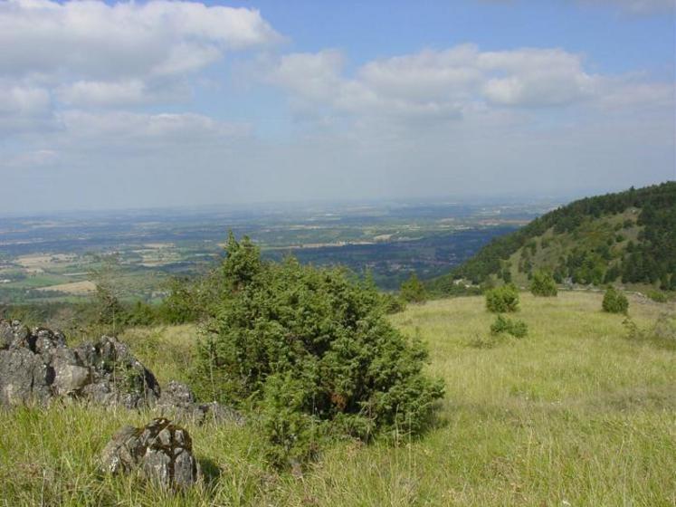 Pelouses sèches du Mounies (Dourgne)