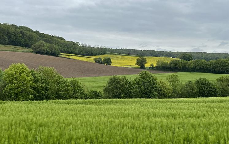 Le soutien à l'agriculture biologique