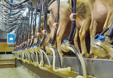 Le 15 octobre dernier, les représentants des producteurs et des industriels de Roquefort se sont réunis pour trouver un accord sur le prix du lait pour la campagne 2014-2015.