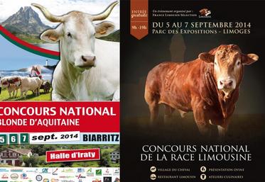 Les 5, 6 et 7 septembre prochains, les deux principales races de vaches à viande du Tarn sont en concours national, l’une à Limoges, l’autre à Biarritz.