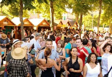Plus de 1300 personnes se sont déhanchées au rythme effréné de la salsa, le vendredi soir, lors de l'apéro-concert organisé par les jeunes agriculteurs du Tarn.