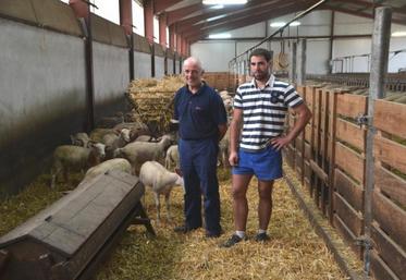 Romain et Christian Tarroux : "Nous nous efforçons d’avoir des agneaux à vendre toute l’année !"