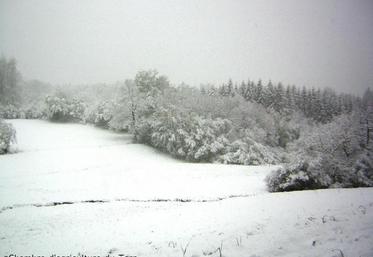 Le 4 mai 2010 à Lacaune. La neige revient en montagne. Une neige lourde qui occasionnera quelques dégâts sur cultures.