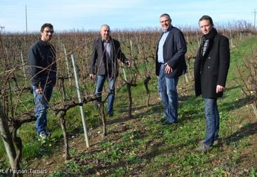 Vinovalie, entrepreneurs, viticulteurs et JA solidaires autour d'un même enjeu : l'accès au foncier !