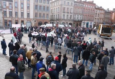2 000 paysans, dont 150 Tarnais, sont venus manifester à Toulouse ce vendredi 14 février.