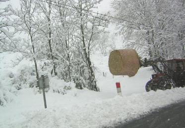 Les chutes de neige sur les Monts de Lacaune ont démarré dans la nuit de ce lundi 3 au mardi 4 mai.
