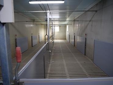 bâtiment porc