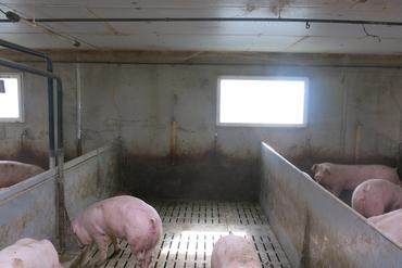 <em class="placeholder">Anticiper le positionnement des fenêtres permet de réaliser une ouverture des panneaux béton à moindre coût.</em>